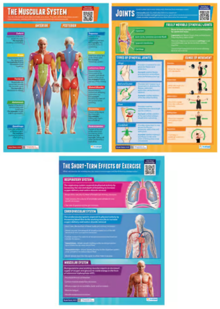 Daydream Applied Anatomy &amp; Physiology Posters - Set of 9