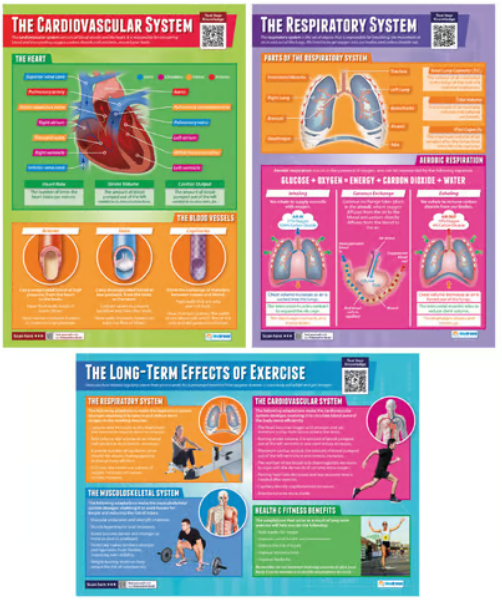 Daydream Applied Anatomy &amp; Physiology Posters - Set of 9