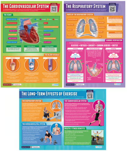 Daydream Applied Anatomy &amp; Physiology Posters - Set of 9