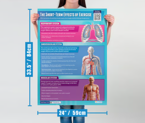 Daydream Applied Anatomy &amp; Physiology Posters - Set of 9