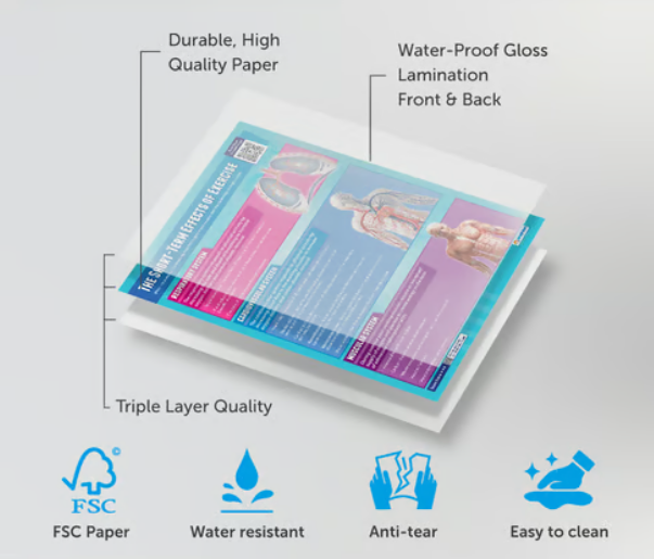 Daydream Applied Anatomy &amp; Physiology Posters - Set of 9