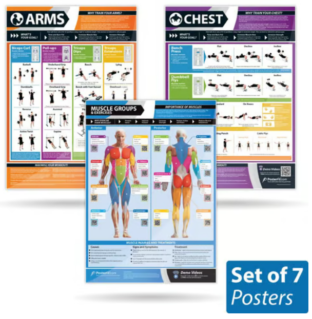 Daydream Exercise Posters - Set of 7