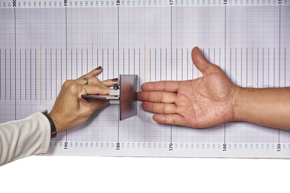 AnthroFlex Removable Wall Meter for Height &amp; Wingspan