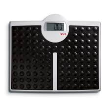 Seca 813 - High capacity digital flat scale