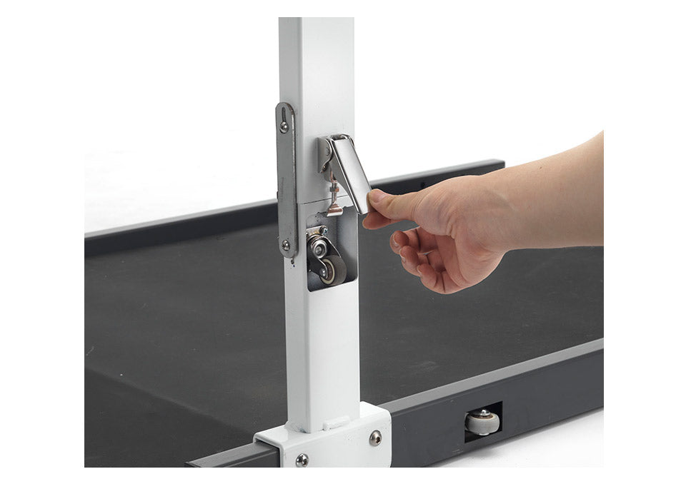Charder Wheelchair Scale (Digital, Platform) - MS3850
