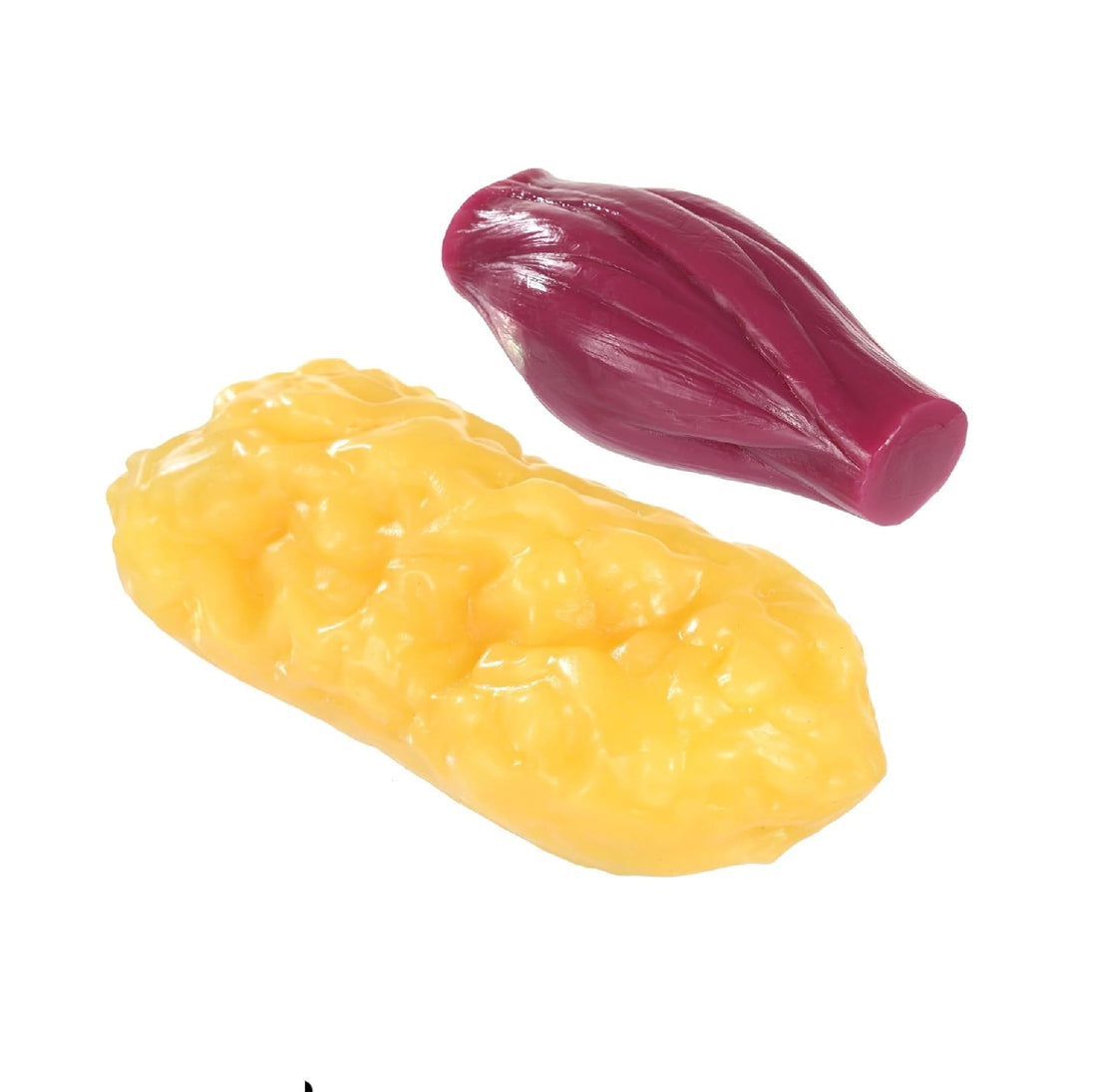 Body Fat &amp; Muscle Anatomical Replica Set 1 lb
